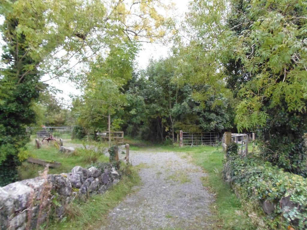 Caheroyn House Athenry Dış mekan fotoğraf